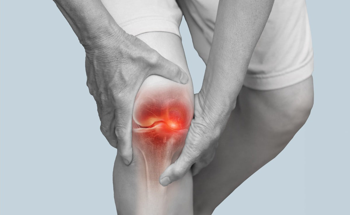 Person holding knee joint with red inflammation highlight showing bone structure — calcium supplement deficiency and joint pain