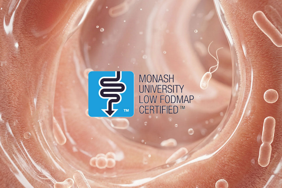 A microscopic glimpse inside a sensitive gut — where the Monash University Low FODMAP Certified seal becomes a quiet promise of comfort.