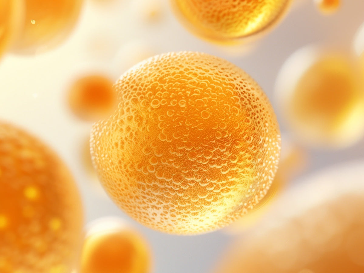Close-up 3D illustration of Saccharomyces Boulardii yeast cells — the key ingredient that restores the gut environment before probiotics settle in