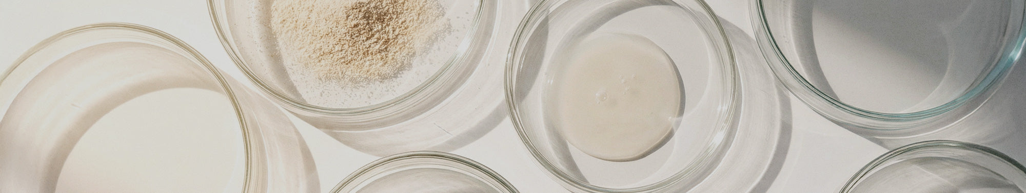 Gut Health & Probiotics