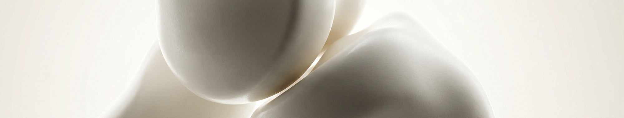 Bones, Joints & Mobility