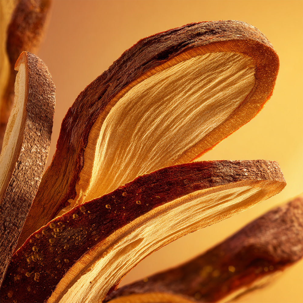 WeShield Double Action