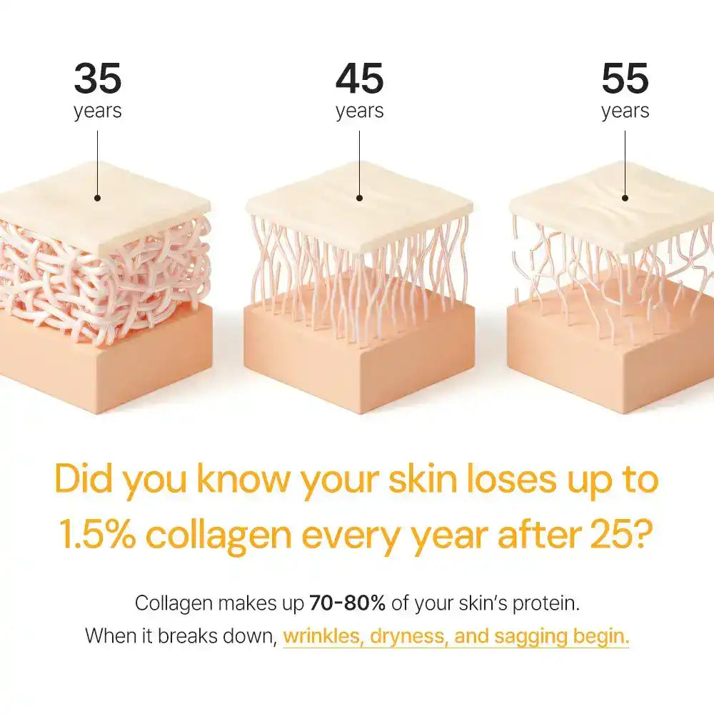 Collagen loss in skin visualized at ages 35, 45, 55 with thinning collagen fibers, promotes anti-aging skincare.