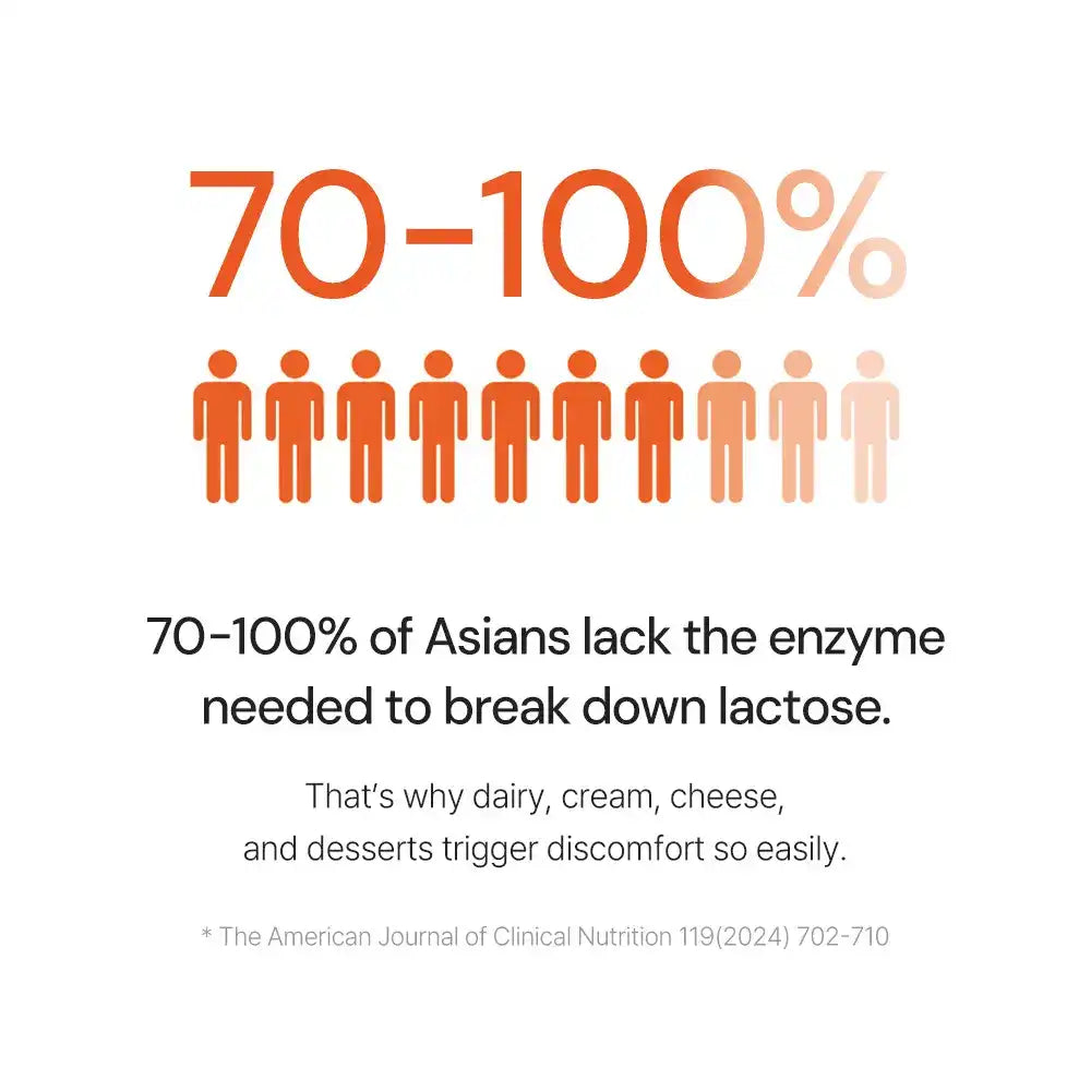 Infographic showing 70-100% of Asians lack lactose enzyme, with orange human icons.