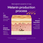 Diagram explaining how UV rays trigger melanin production in skin, showing skin layers and pigment formation process.