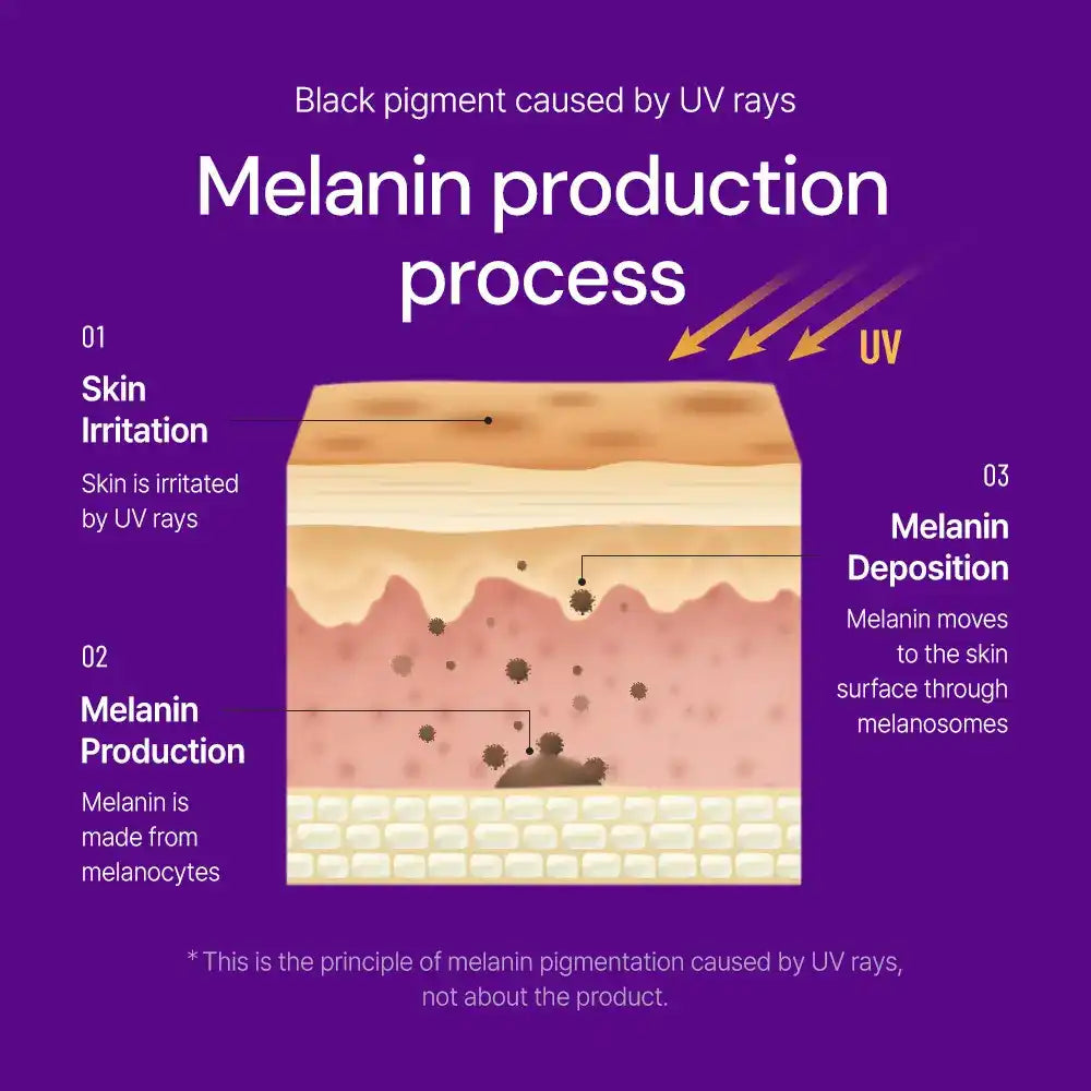 Diagram explaining how UV rays trigger melanin production in skin, showing skin layers and pigment formation process.