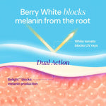 Diagram showing Berry White supplement blocking melanin and UV rays for skin health