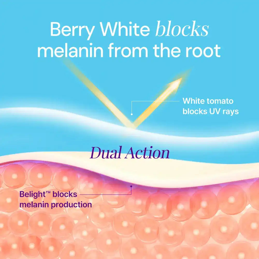 Diagram showing Berry White supplement blocking melanin and UV rays for skin health