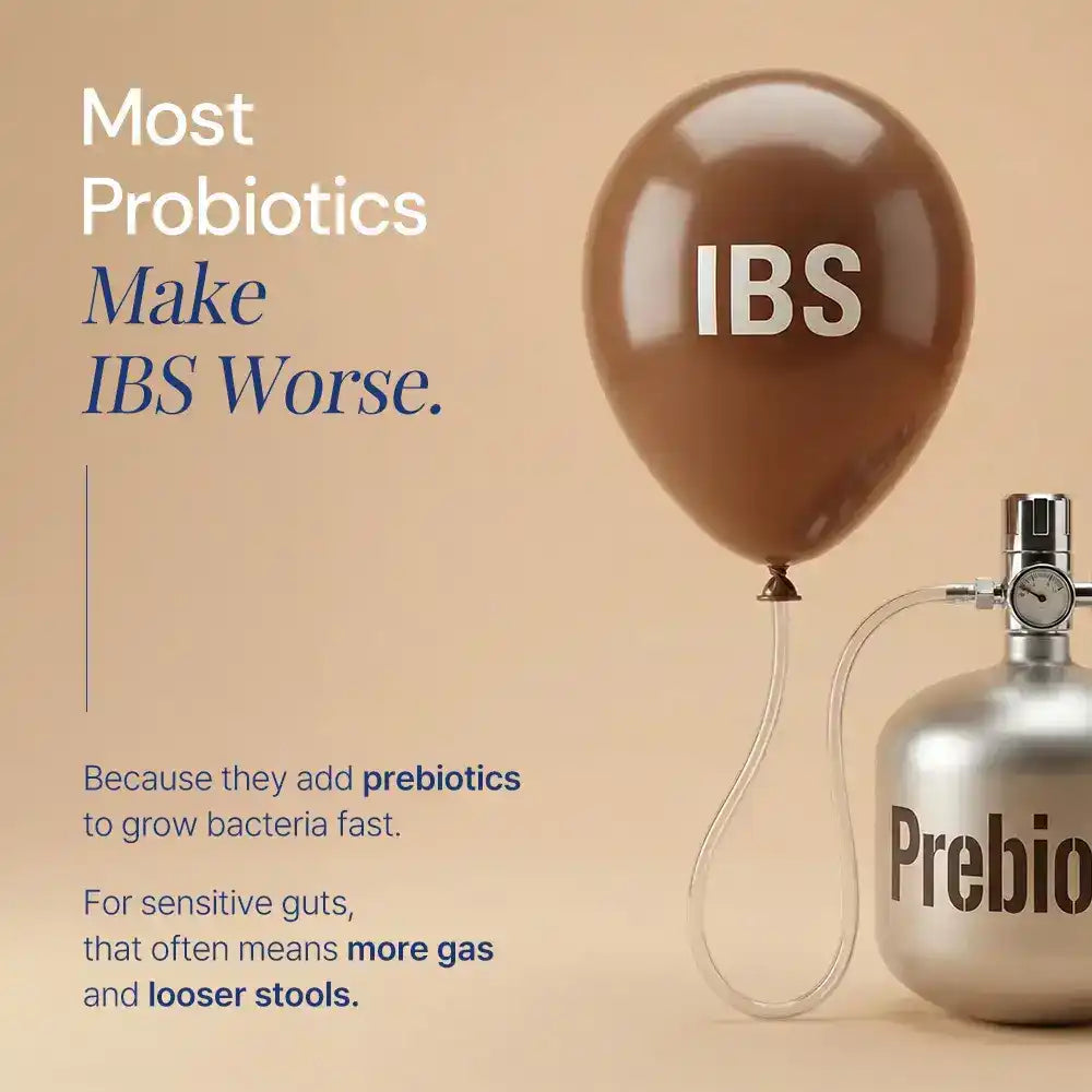Balloon labeled IBS connected to prebiotics tank, highlighting probiotics effects on gut health.