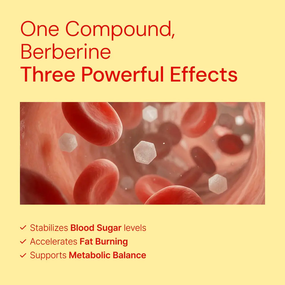 Berberine supplement benefits: stabilizes blood sugar, accelerates fat burning, supports metabolic balance