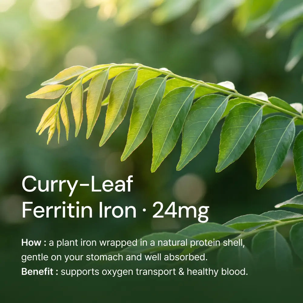 Vegetable Iron & Active Folate