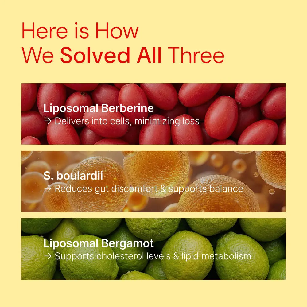 Liposomal Berberine, S. boulardii, and Liposomal Bergamot for gut health, cholesterol & cellular delivery