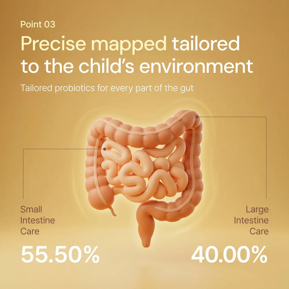 3D illustration of human intestines showing probiotic gut care percentages for children
