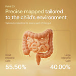 3D illustration of human intestines showing probiotic gut care percentages for children