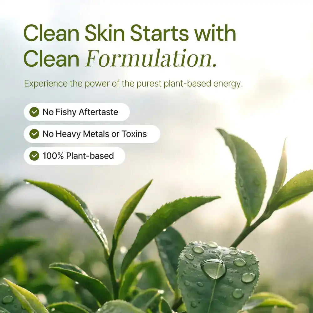 Close-up green leaves with water droplets, text highlights clean plant-based supplement benefits.