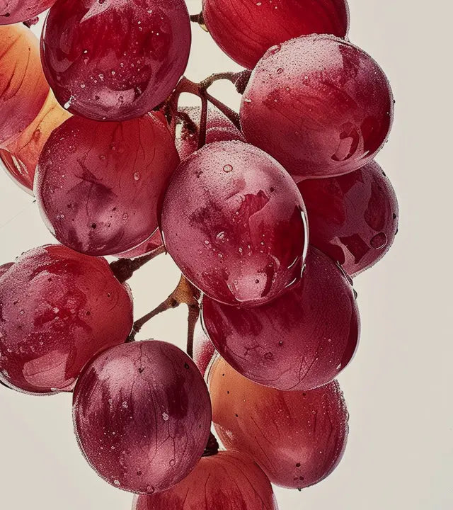 Close-up of fresh red grapes with water droplets on the vine, promoting natural ingredients.